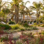 Lussureggiante giardino tropicale Is Prendas presso il Sant'Efis Hotel a Pula, Sardegna
