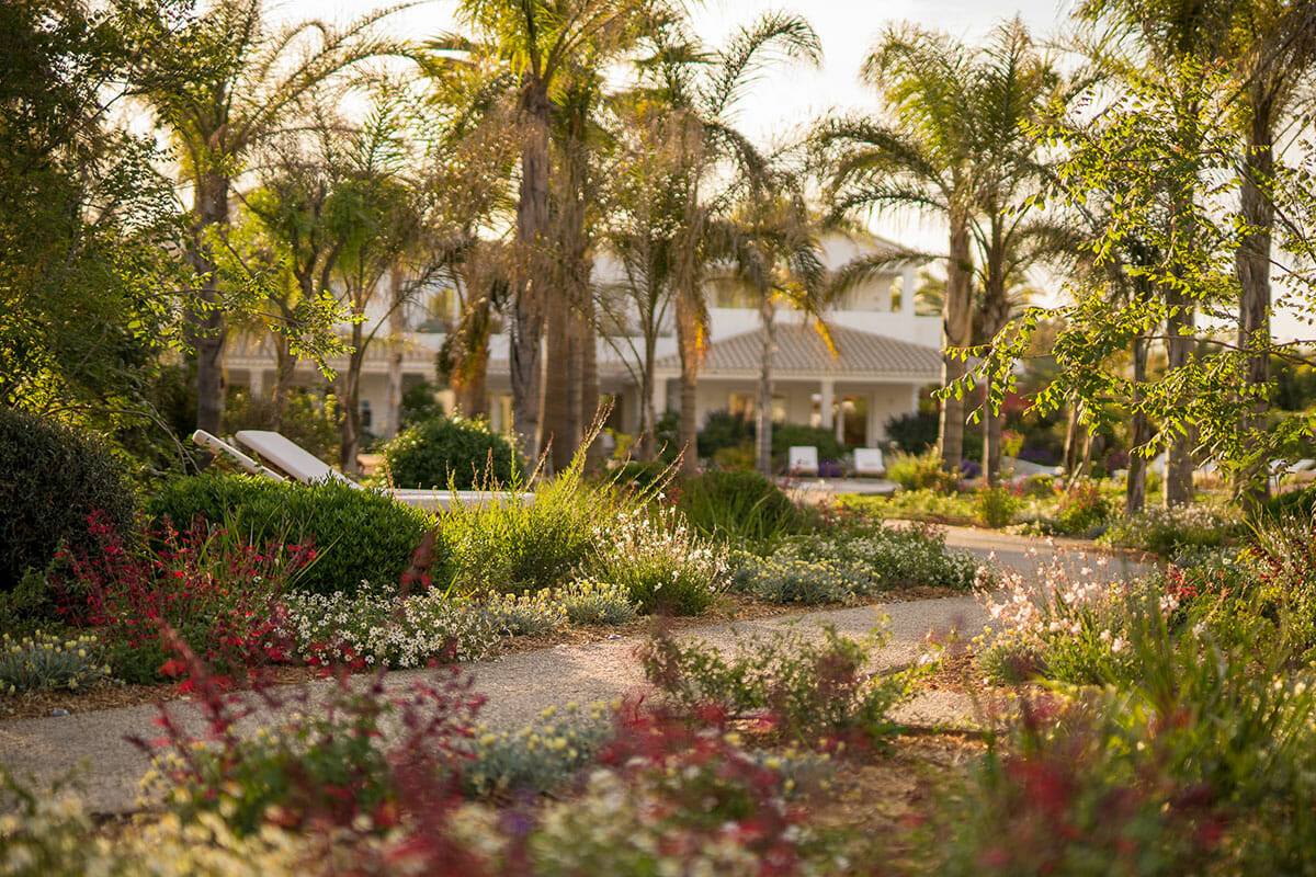 Lussureggiante giardino tropicale Is Prendas presso il Sant'Efis Hotel a Pula, Sardegna