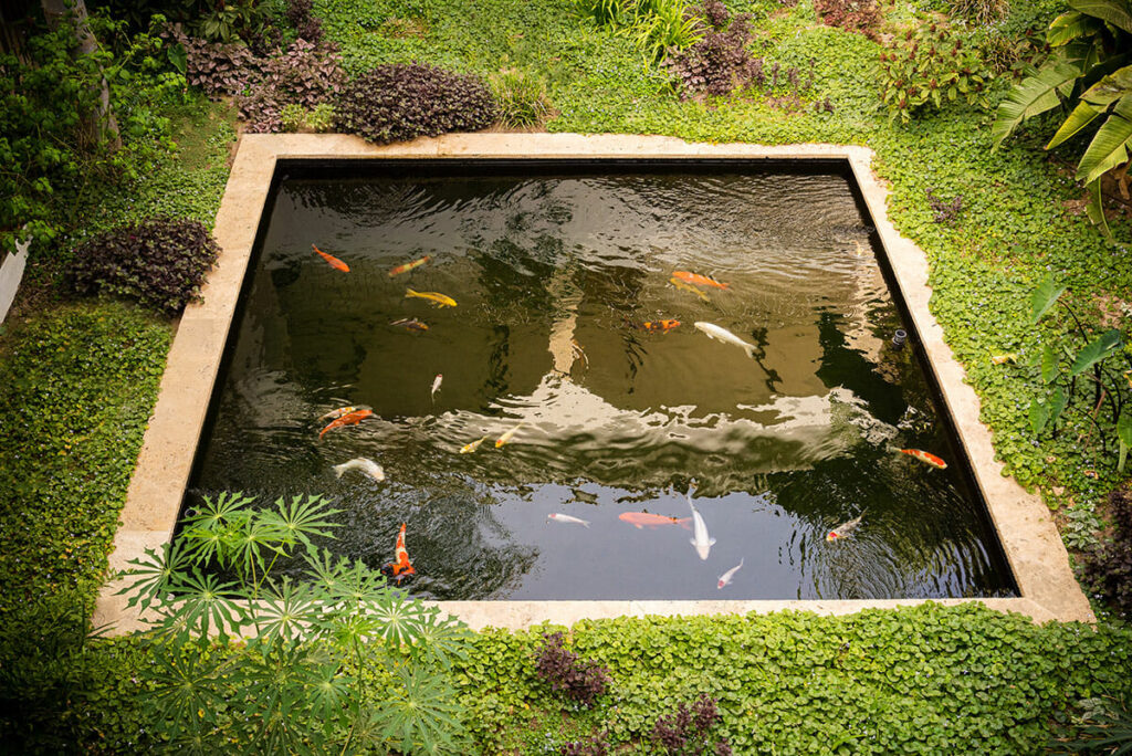 Giardino Is Prendas Sant'Efis Hotel piante mediterranee